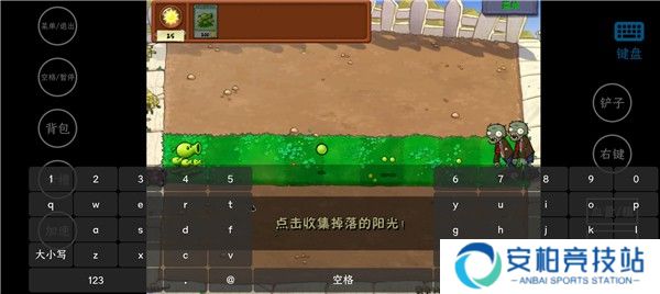 植物大战僵尸威化版