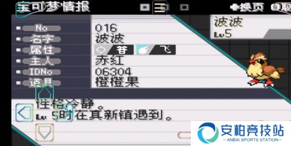 口袋妖怪激进红4.1汉化版