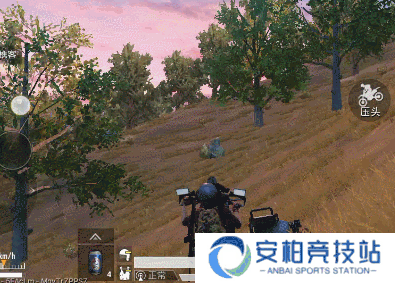 老司机神操作 《和平精英》中载具都有哪些妙用