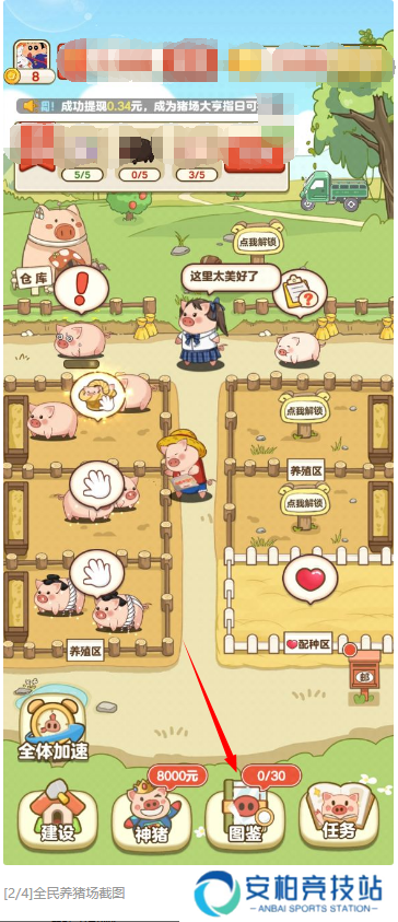 全民养猪场