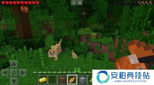 我的世界1.20国际版