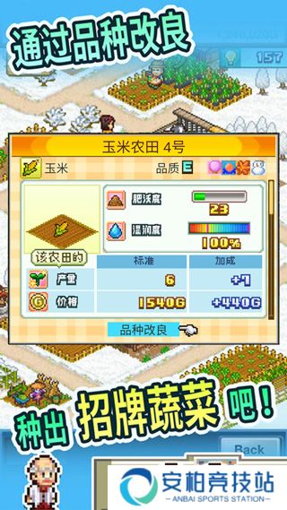开罗晴空农场物语汉化版