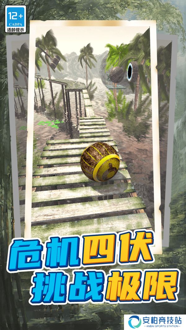 球球回家