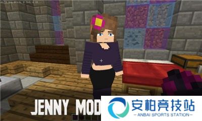 我的世界珍妮模组手机版安装包1.19