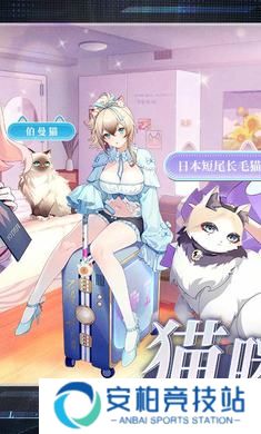 猫之城云游戏
