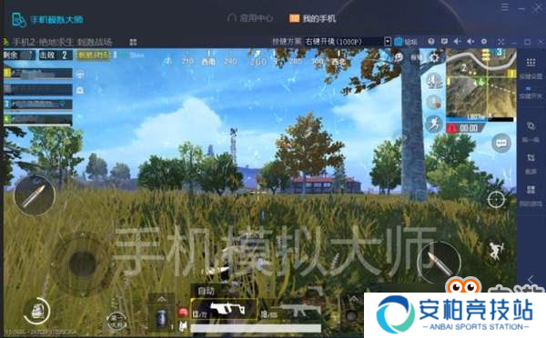绝地求生刺激战场最后阶段队友能不能救及手机模拟大师运行攻略