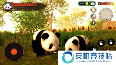 熊猫模拟器