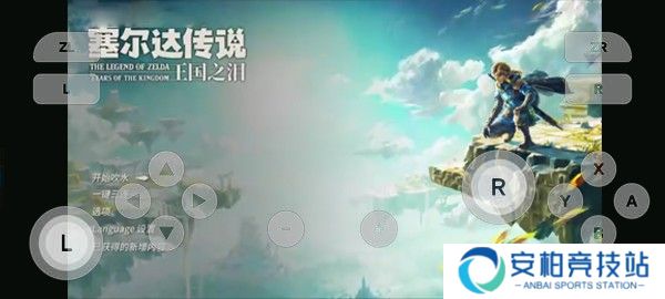 switch模拟器