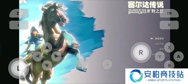 switch模拟器