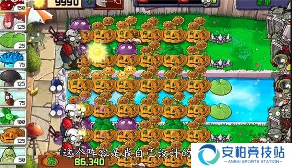 植物娘大战僵尸手机版