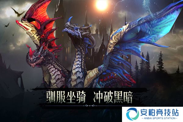 黑暗城堡魅族版