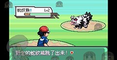 口袋妖怪究极绿宝石小智版4图文攻略