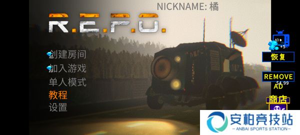 R.E.P.O.手机版