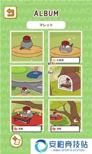 鸟之音中文版