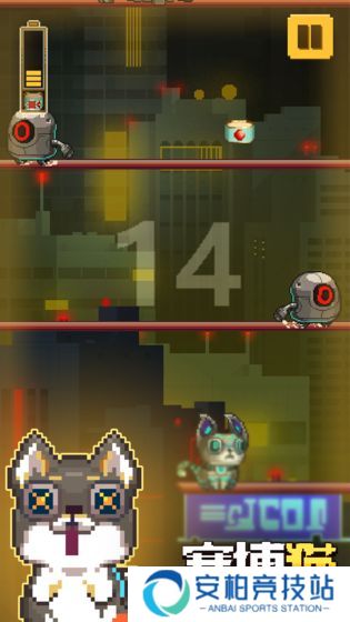 赛博猫