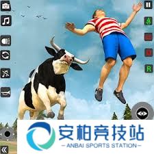 公牛攻击