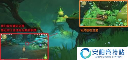 原神正法炬书星夜之章怎么做 原神正法炬书星夜之章攻略流程