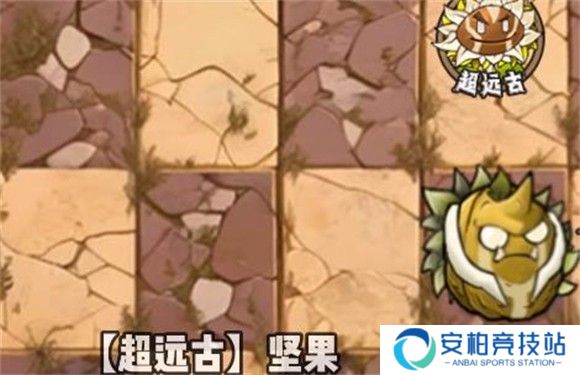 超远古坚果截图