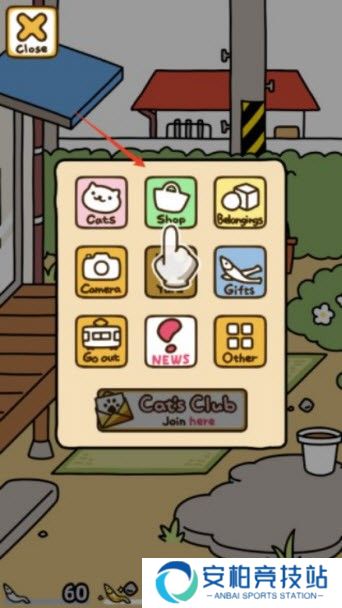 猫咪后院2国际服