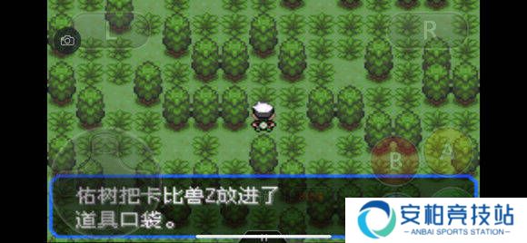 口袋妖怪绿宝石386版中文版