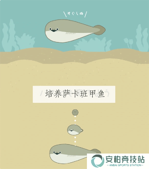 萨卡班甲鱼免广告版