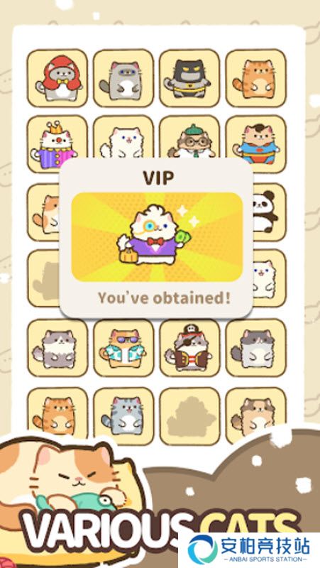 我的完美猫旅馆最新版