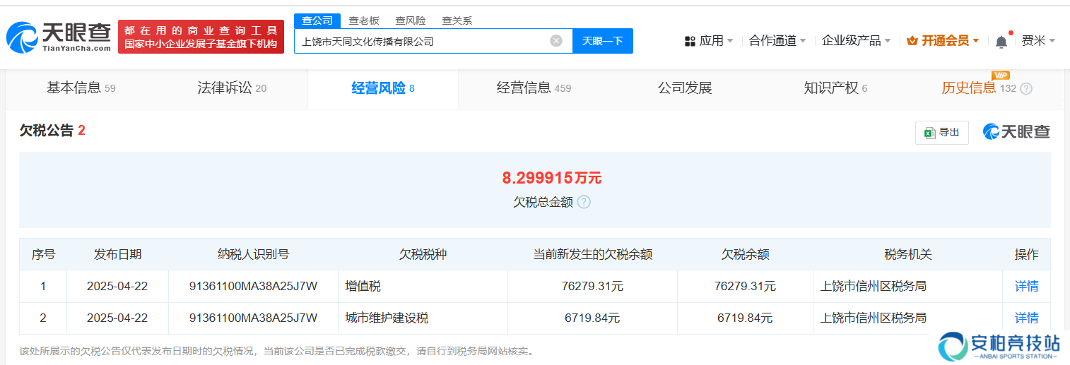 欠税公告详情