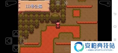 口袋妖怪究极绿宝石5.4z纯晶怎么用 口袋妖怪究极绿宝石5.4z纯晶怎么获得
