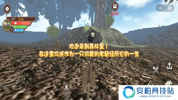 真实老鼠模拟