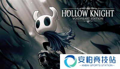 空洞骑士港服