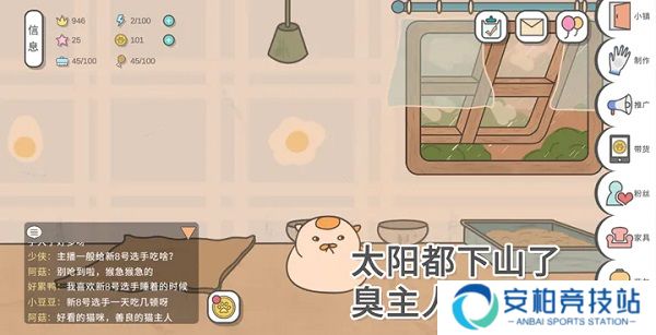 主播和猫的故事