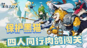 黑猫来自天空