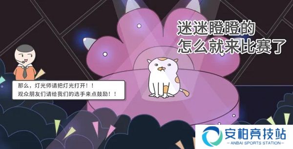 主播和猫的故事