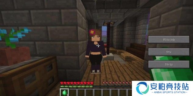 JennyMod直装版