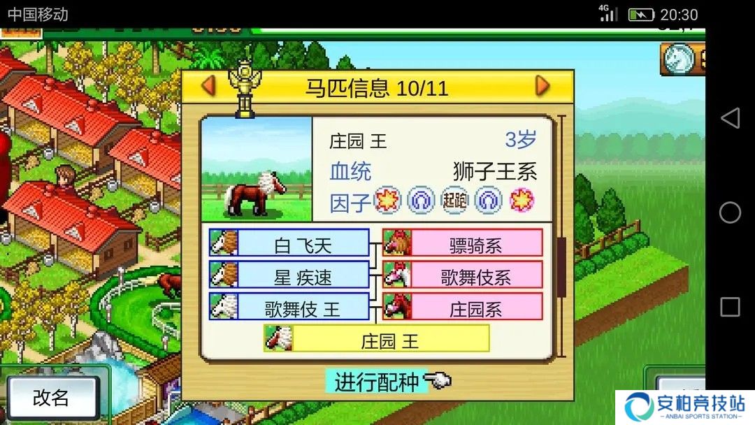 赛马牧场物语