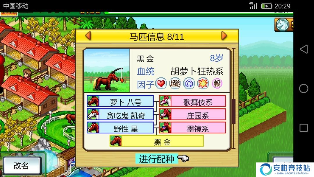 赛马牧场物语