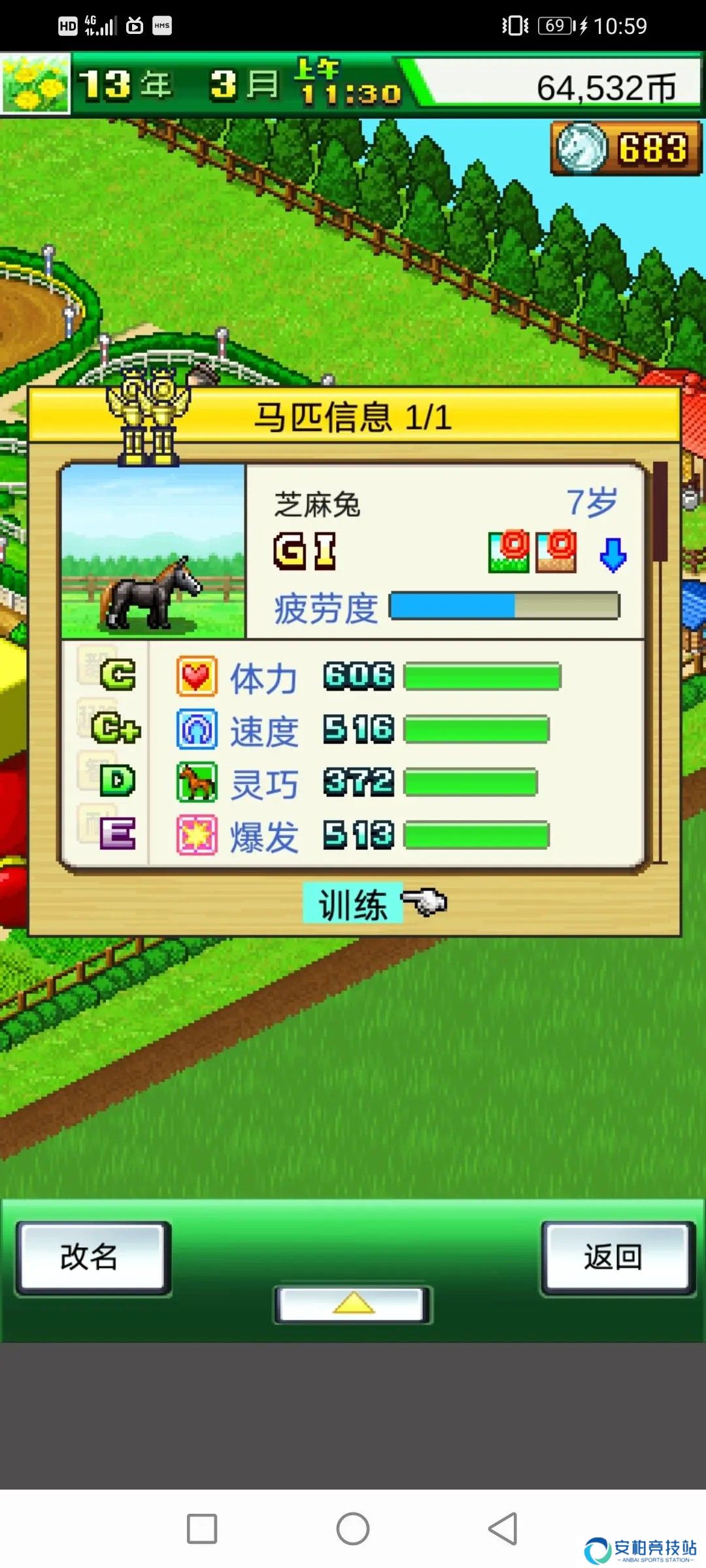 赛马牧场物语