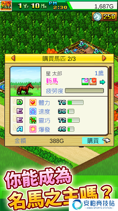 赛马牧场物语debug版