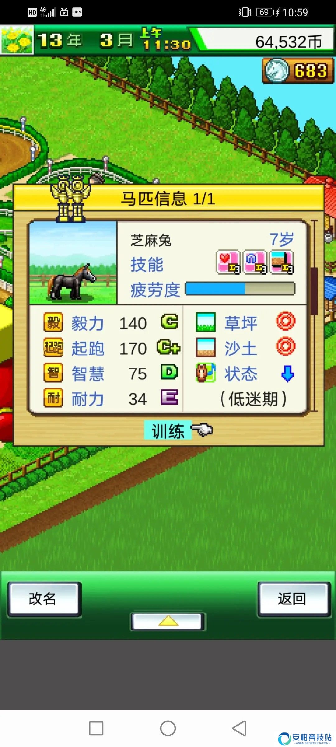 赛马牧场物语