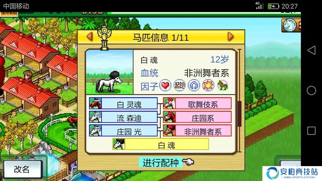 赛马牧场物语
