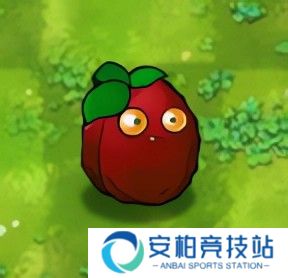 植物大战僵尸融合版屋顶辅助