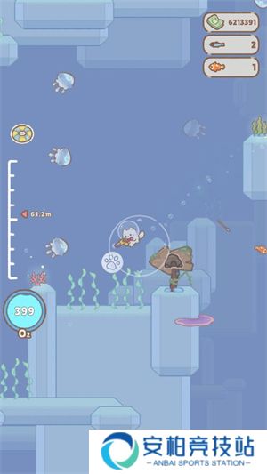 猫咪潜水员2025