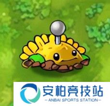 植物大战僵尸融合版屋顶辅助