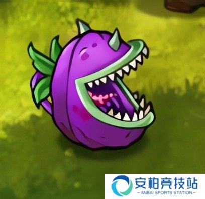 植物大战僵尸融合版屋顶辅助