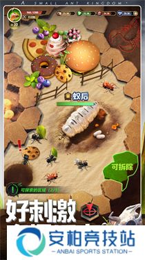 小小蚁国官方正版