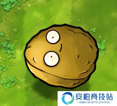 植物大战僵尸融合版屋顶辅助