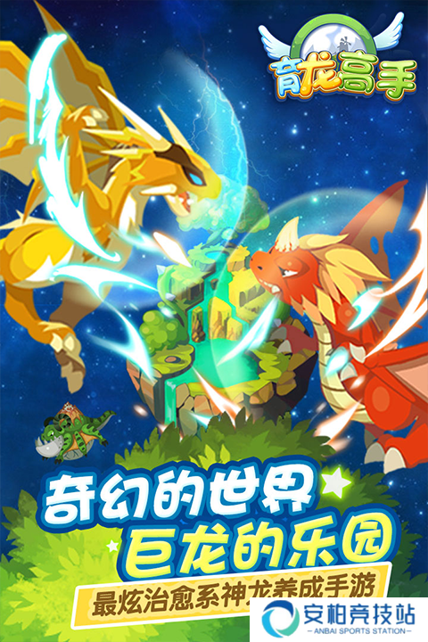 育龙高手