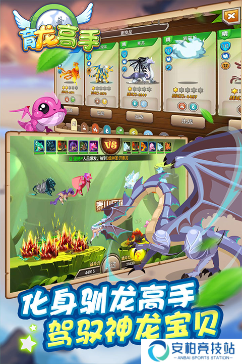育龙高手