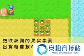 牧场物语矿石镇的伙伴们完美版